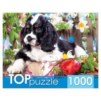 b13a9de4_0c6d_11eb_baa6_001e67687207_bb1a6b37_0e01_11eb_baa7_001e67687207