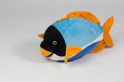 ryibka-korallovaya-50-sm.cade0d7dec973545fbe5b17c93227f81244