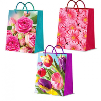 c3f703895aa606a2338fa2e0c1505ccb