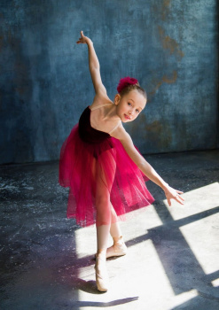 rospis_po_holstu_balerina_v_rozovoy_pachke_40h50_sm_h_8634_6011399908b07_1969_big