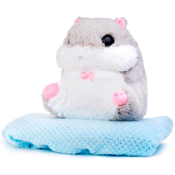 78816d5a_2f65_11ee_badc_001e67687207_a4ab3370_36a8_11ee_badc_001e67687207