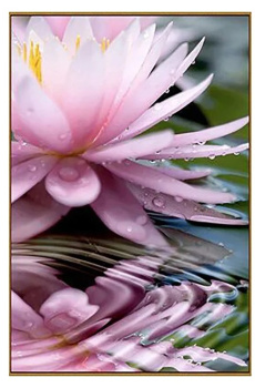 Безымянный