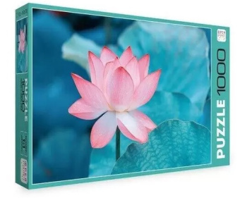 Безымянный