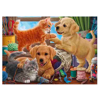 0136dd56_fb65_11eb_bab3_001e67687207_480a3cd8_00c7_11ec_bab3_001e67687207