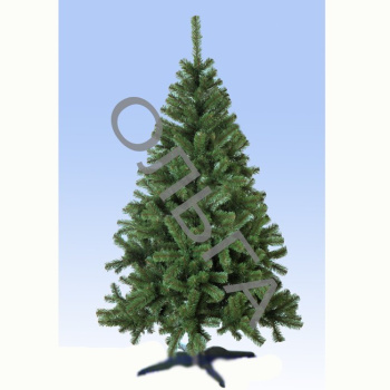 705a60e4_558d_11df_8ad1_001517421144_0f96a678_5f89_11df_9a91_001517421144