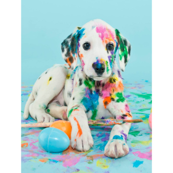 6fbc57bc_2d43_11ef_ba2e_74563c40ca9e_fb519acc_2f01_11ef_ba2e_74563c40ca9e