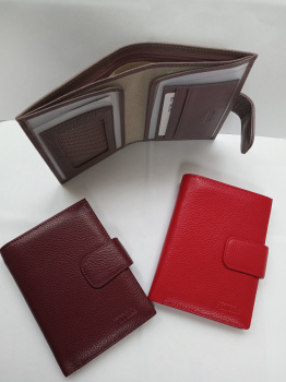 IMG_20250226_145337_545