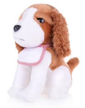 Безымянный