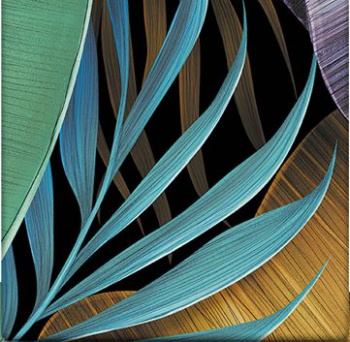 e5ac52108148cdd9bd134032642d0b9c