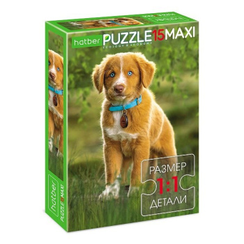 fa071290_8ea8_11ee_bae0_001e67687207_619afb6f_929c_11ee_bae0_001e67687207