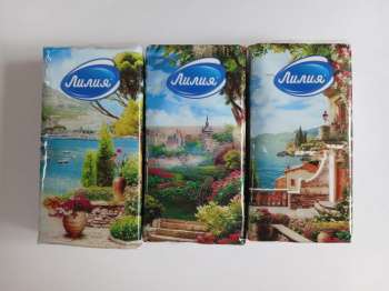 IMG_20250322_125122_516