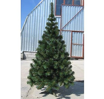 705a60ea_558d_11df_8ad1_001517421144_690f8620_5f89_11df_9a91_001517421144