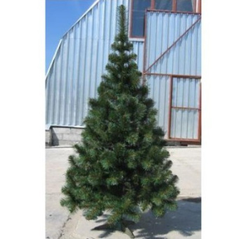 705a60ed_558d_11df_8ad1_001517421144_690f8621_5f89_11df_9a91_001517421144