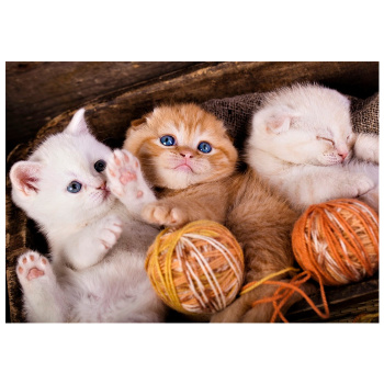 452cb4b9_90dd_11ed_bacf_001e67687207_832466a1_9592_11ed_bacf_001e67687207