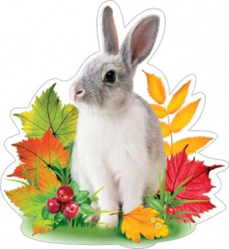 4496838c27a2ccc0c3a63648576af908