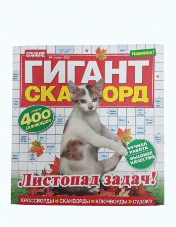 IMG_20251003_104949_571